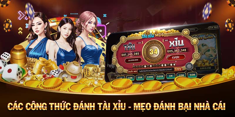 zbet-Casino trực tuyến - Nơi cơ hội và giải trí!